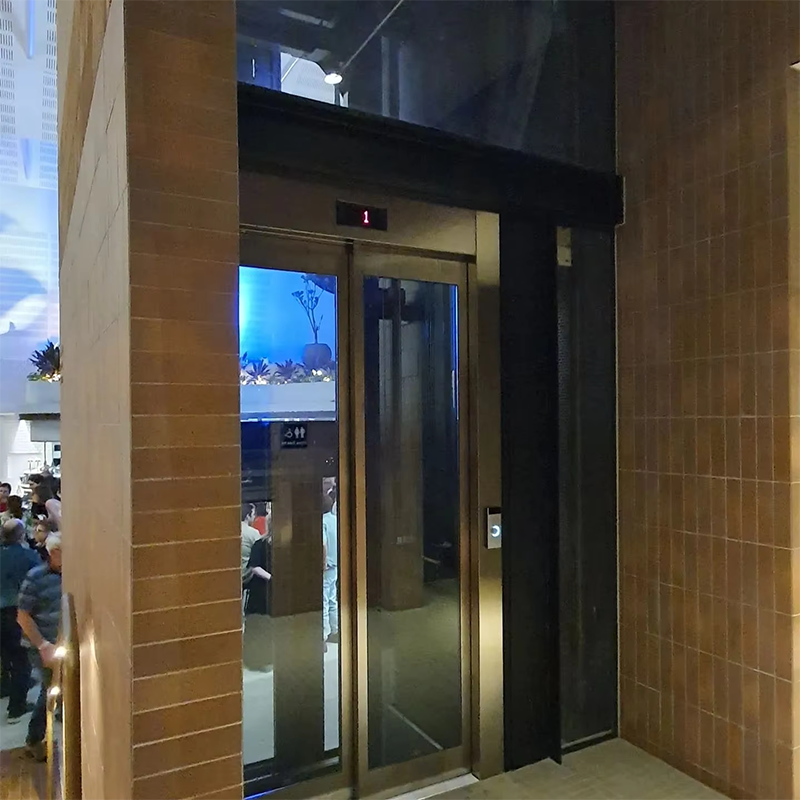 VTEP108 Elevadores snabba och smidiga passagerarhissar för kommersiella fastigheter Snabbservice