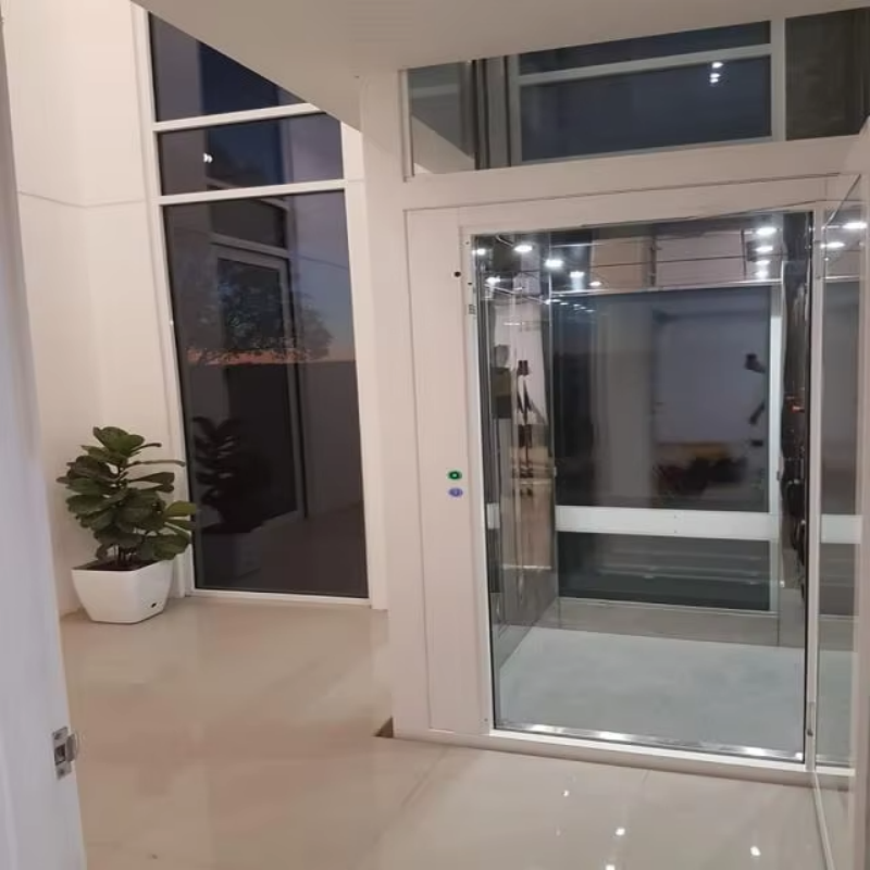 VTEV109 Ascensores Elevadores Snygg glasvillahiss för privat duplexhem