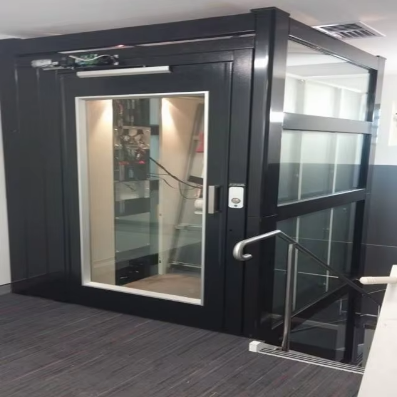 VTEV109 Ascensores Elevadores Snygg glasvillahiss för privat duplexhem