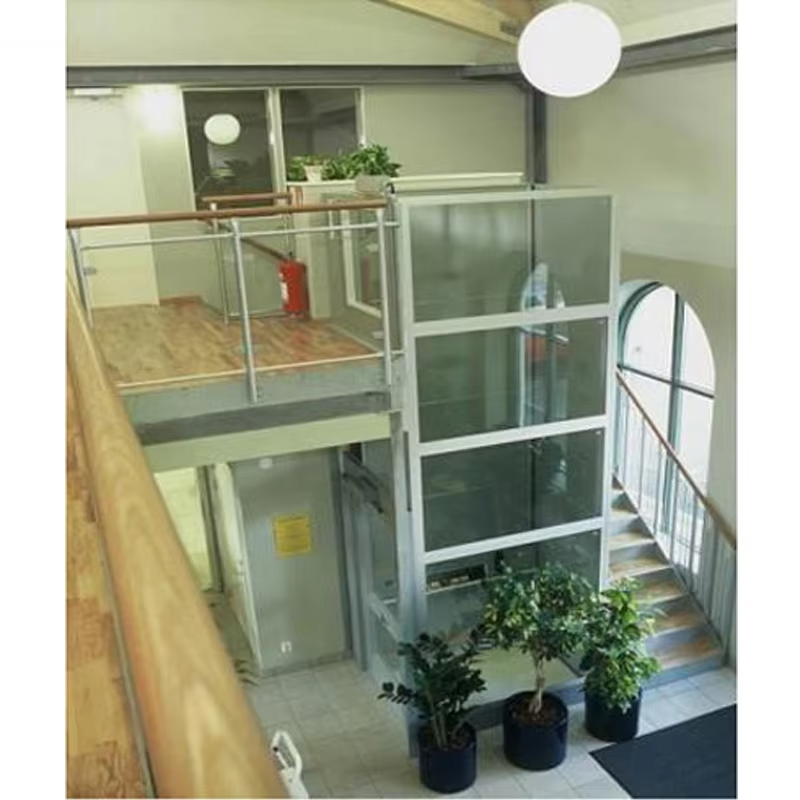VTEV103 Ascensores Elevadores Smart Control Villa Lift för bekväm hemtransport