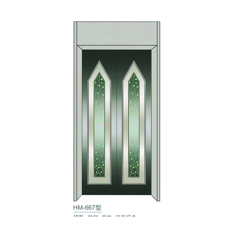 VTSP204 Högkvalitativt hissdörrsystem Rostfritt stål målat glas manuell dörrpanel