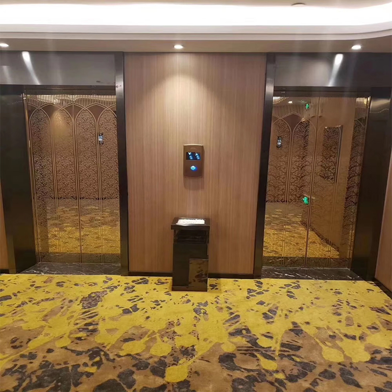 VTEP118 Elevadores avancerade passagerarhissar Gearless AC PVC-konstruktion i rostfritt stål ISO90001-certifierad smarta funktioner Förbättra