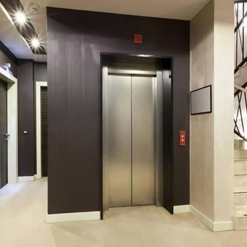 VTEP123 Lyxig anpassad växellös AC Drive Residential passagerarhiss med panoramadesign