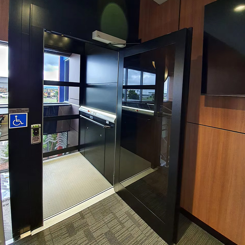 VTEP123 Lyxig anpassad växellös AC Drive Residential passagerarhiss med panoramadesign